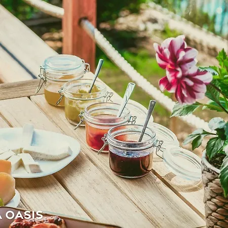 Kshira Oasis - Boutique With Private Beachfront With & Restaurant * 체파로